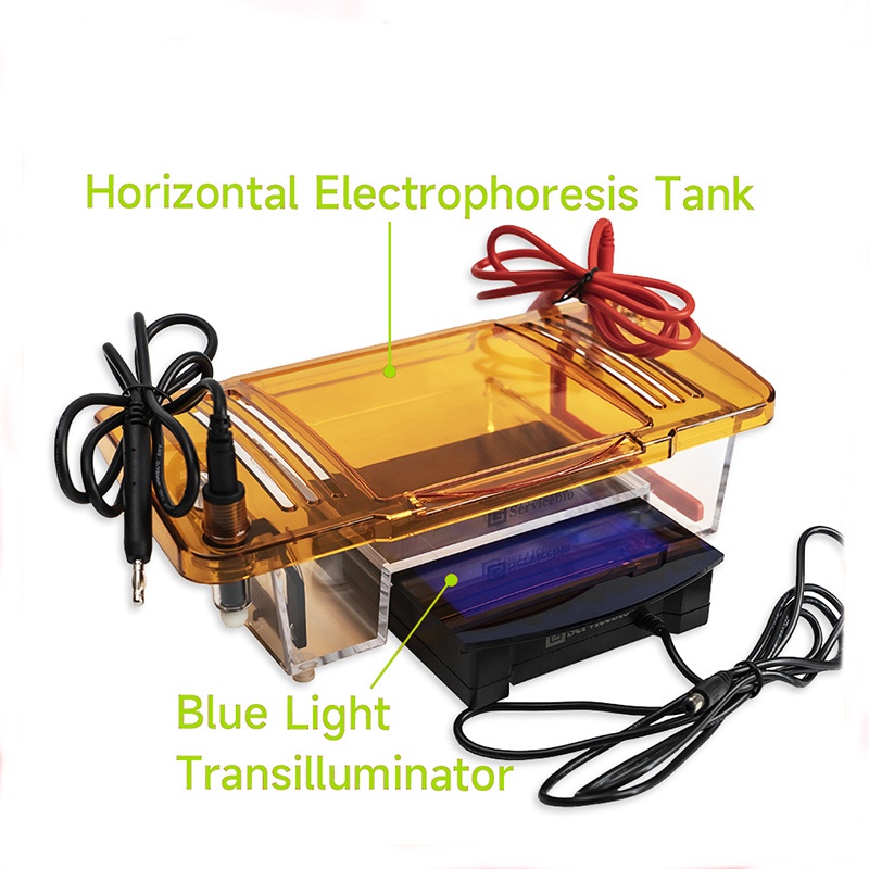 Horizontal Electrophoresis Tank