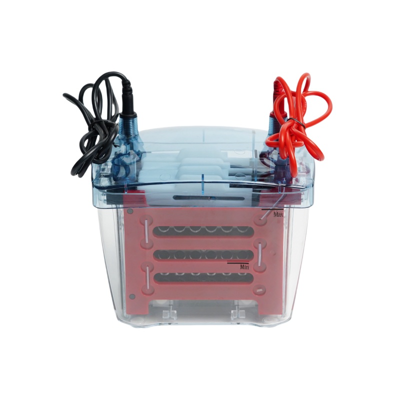 Transfer Electrophoresis Tank