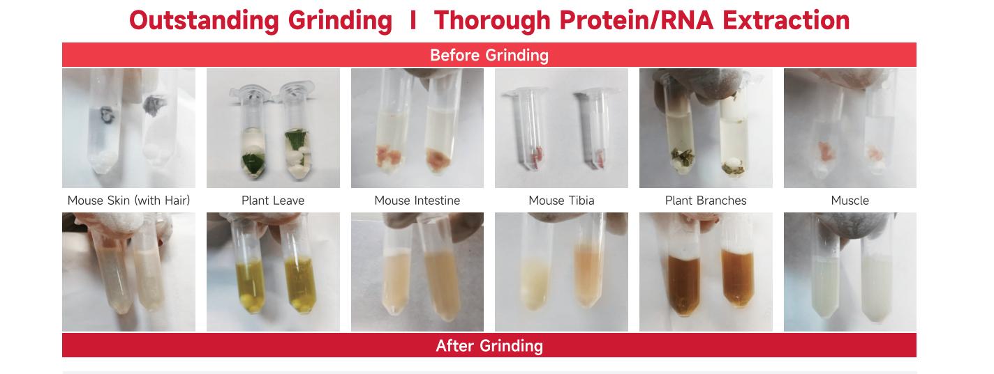 Tissue Homogenizer