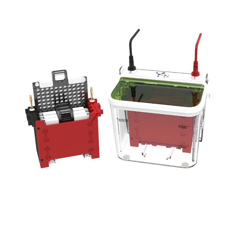 Transfer Electrophoresis Tank Transfer Electrophoresis Tank
