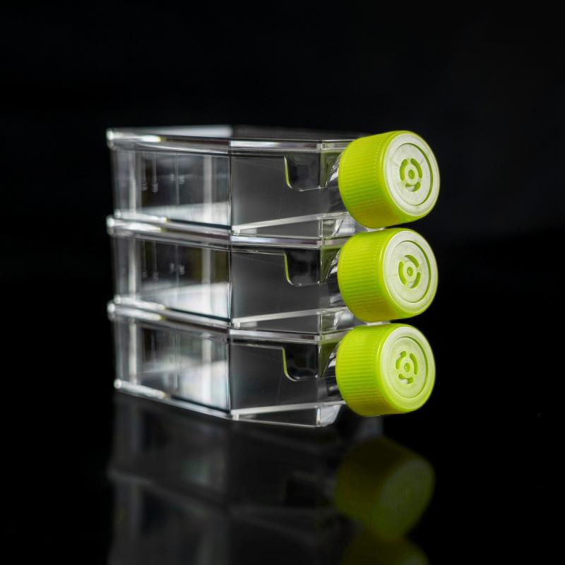 China Cell Culture Flask Supplier T25 T75 T175 Cell Culture Flask